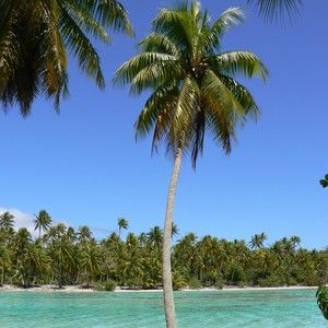 Meet your Posher, Pamela